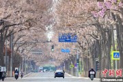 齐河共建“花园城市” 北京这场议政会“百花齐放”